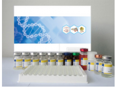 魚睪酮(T)ELISA試劑盒,試劑盒廠家_供應產品_上海素爾生物科技