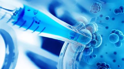 成立三年即赴港上市:基石藥業成港股IPO新政試金石