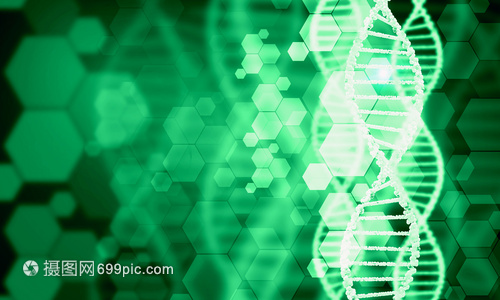DNA分子高科技DNA分子的生物化學(xué)背景
