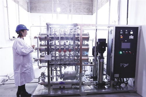 校企協(xié)作 共贏未來 甘肅省首批甘草提取物產(chǎn)品成功上市