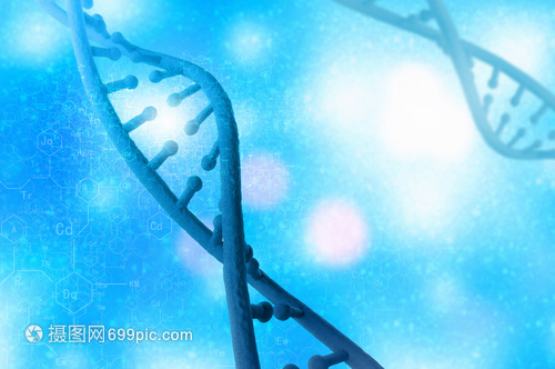 DNA分子高科技DNA分子的生物化學背景