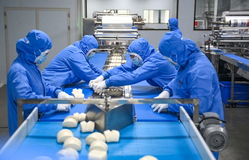 西南地區(qū)最大中式主食凍品生產(chǎn)工廠投入使用
