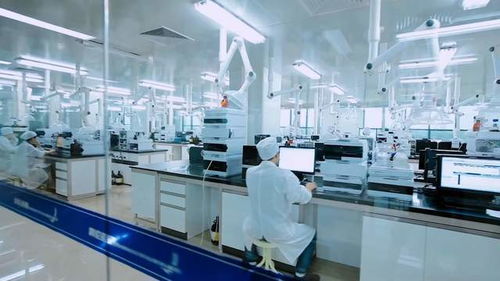 稅惠新型工業化探秘獨角獸企業發展密碼