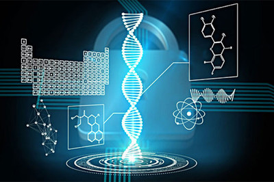 肥胖也會影響壽命,腰圍成重要因素?美學者發(fā)現(xiàn)壽命干預新物質