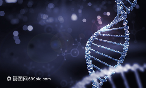 DNA分子高科技DNA分子的生物化學(xué)背景