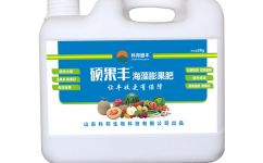 海藻肥,洋蔥海藻肥,藥材海藻肥,海藻肥批發(fā),山東科邦