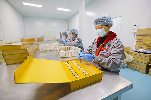 2024山東 東阿 中醫藥文化旅游體驗周丨來聊城,感受中醫藥文化的魅力