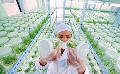 看一看,農(nóng)業(yè)也可以這樣五光十色!