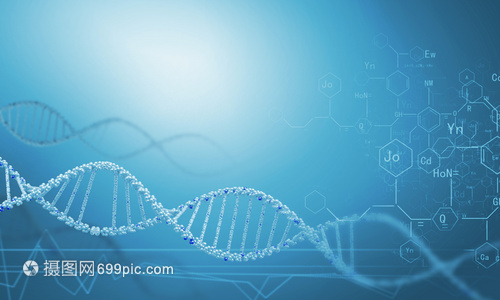 DNA分子高科技DNA分子的生物化學(xué)背景