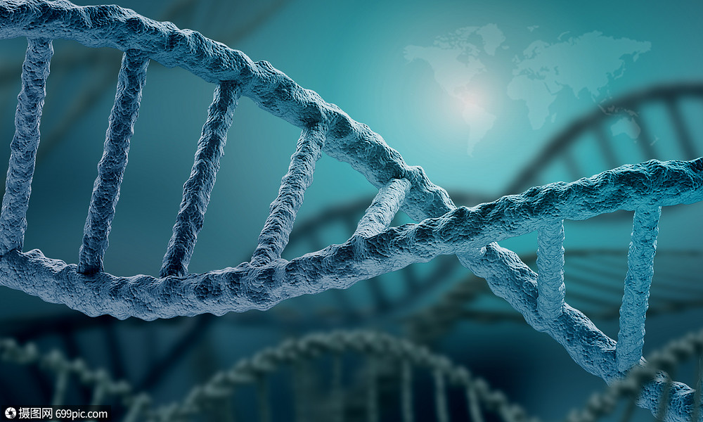 dna分子高科技dna分子的生物化學(xué)背景dna原子