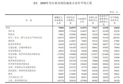 軟件和信息技術(shù)服務(wù)業(yè)投資與管理 以2020年全國規(guī)上企業(yè)薪資增長(zhǎng)為鏡